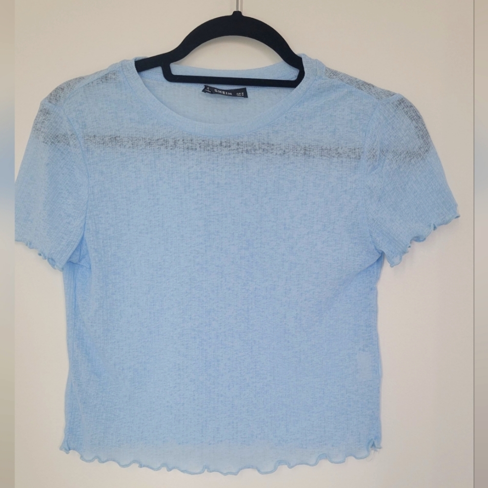 Sheer Crop Top